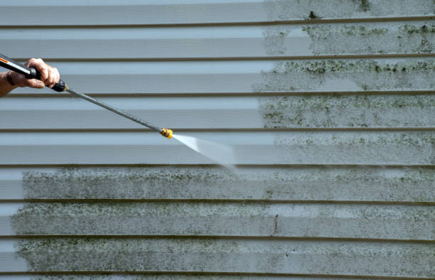 Best Office Mold Removal Services  in Liberty Hill, TX