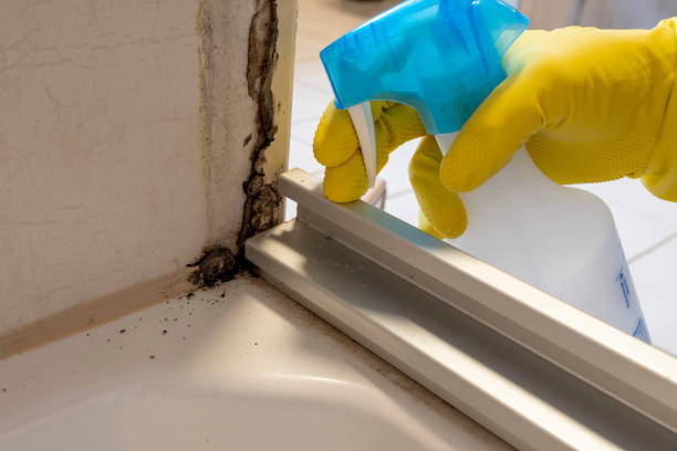 Best Emergency Mold Removal  in Liberty Hill, TX