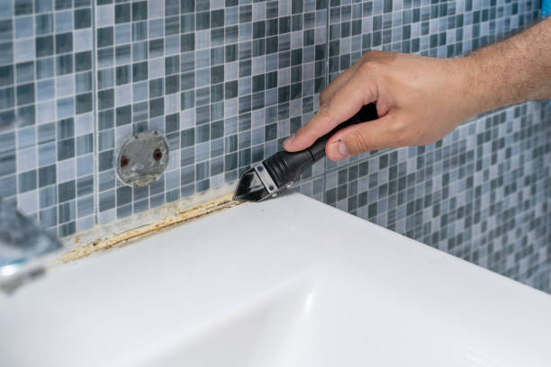 Best Commercial Mold Removal  in Liberty Hill, TX