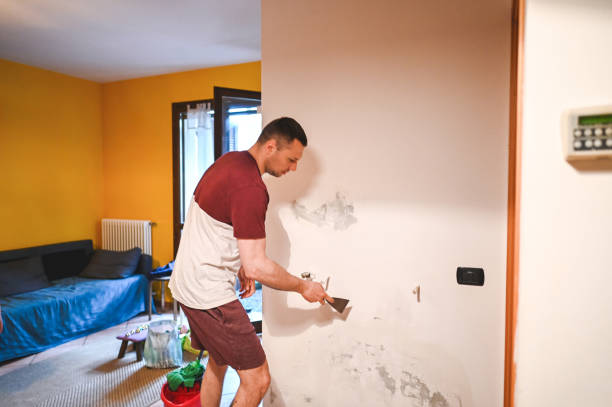 Best Mold Removal Process  in Liberty Hill, TX